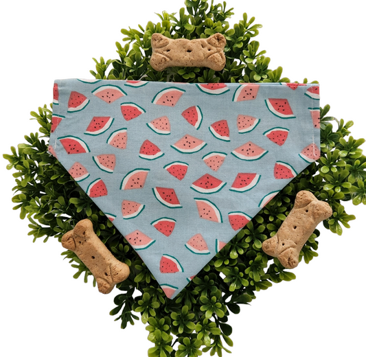 Watermelon Dog Bandana