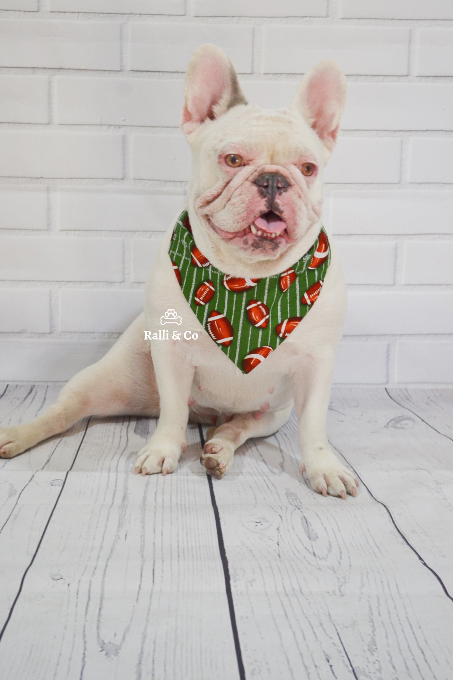 Football Dog Bandana