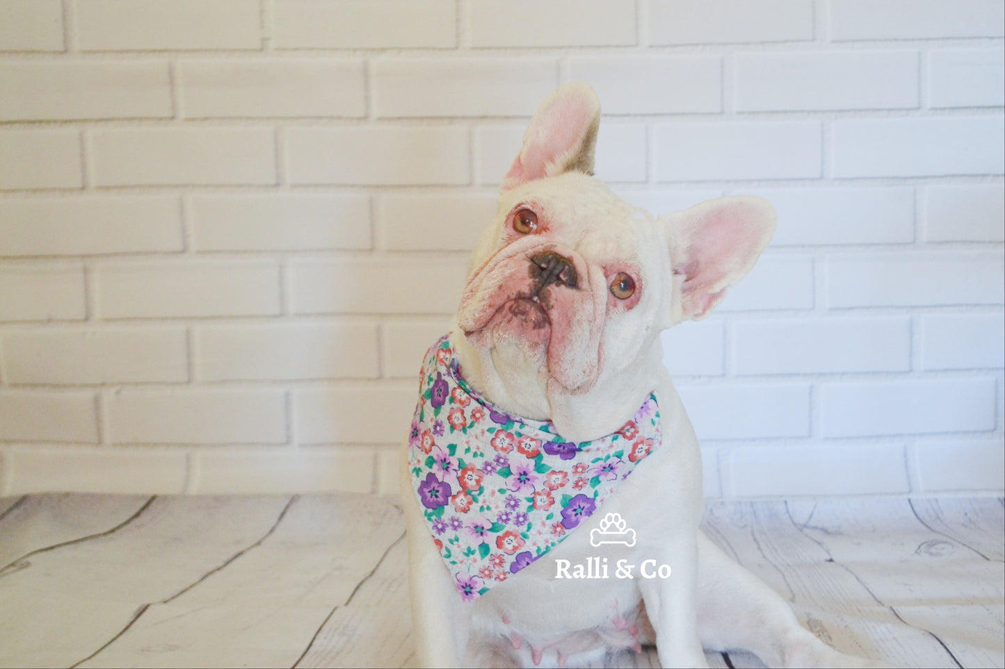 Purple Floral Dog Bandana